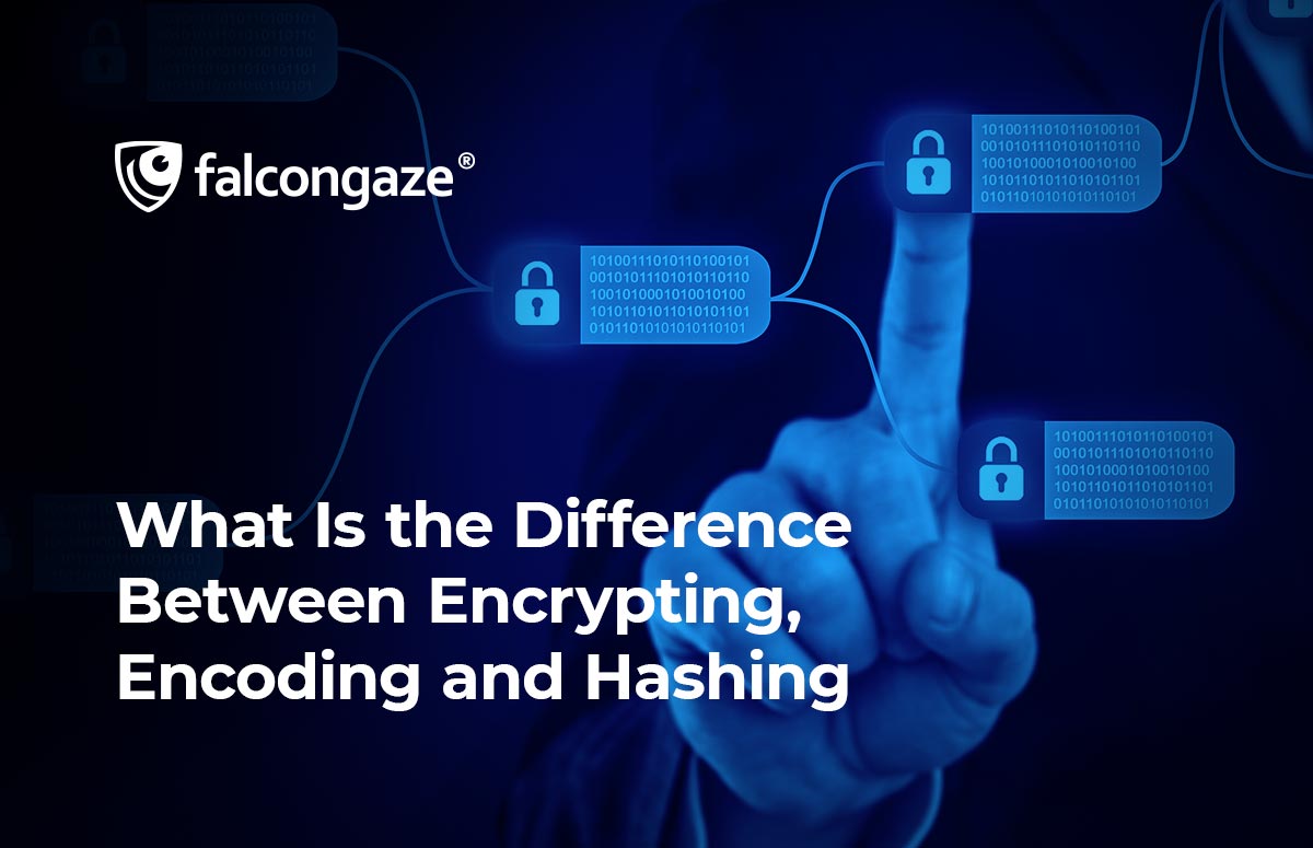 What Is the Difference Between Encrypting, Encoding and Hashing?