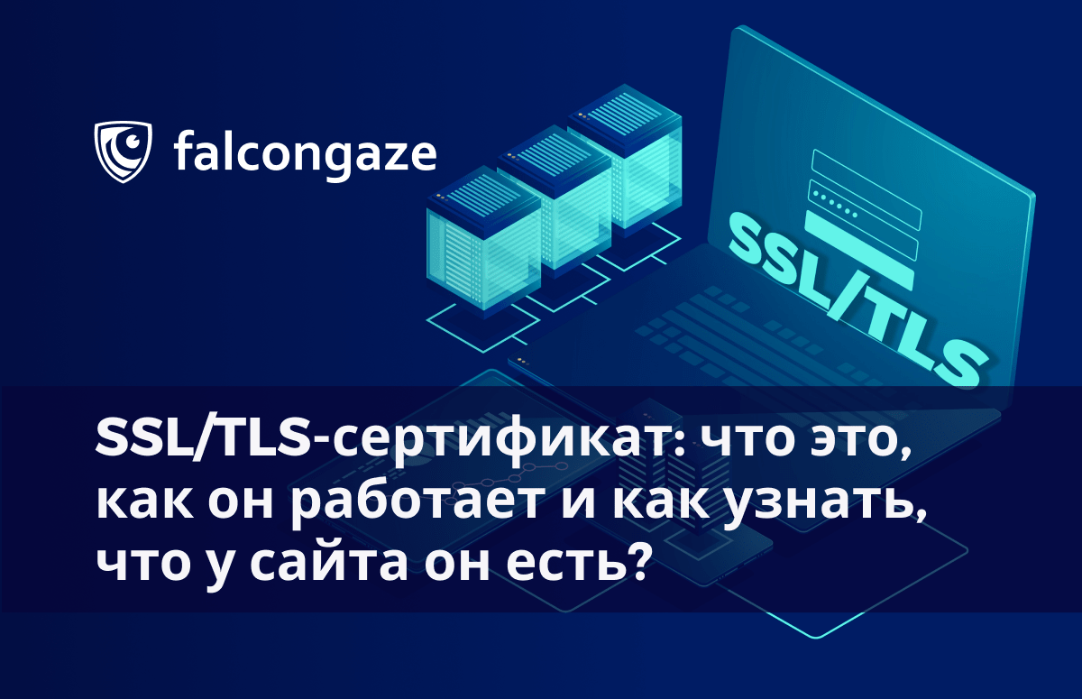 SSL/TLS-сертификат: что это, как он работает и как узнать, что у сайта он  есть? - Falcongaze